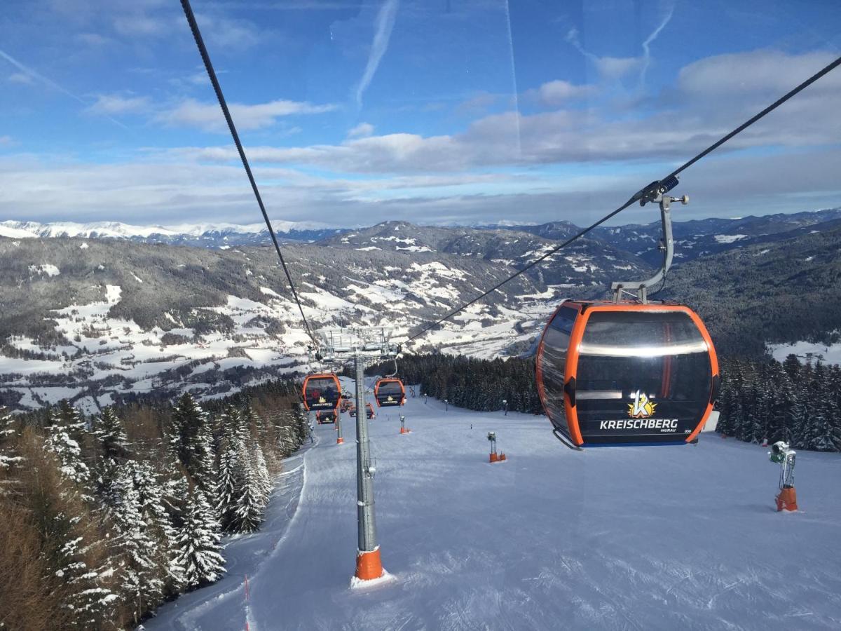 Alpenferienhaus Sophia St. Lorenzen ob Murau Exterior foto